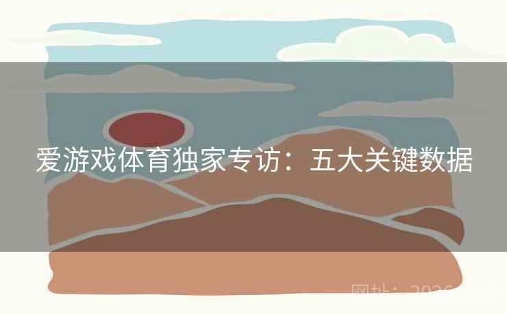 爱游戏体育独家专访:五大关键数据