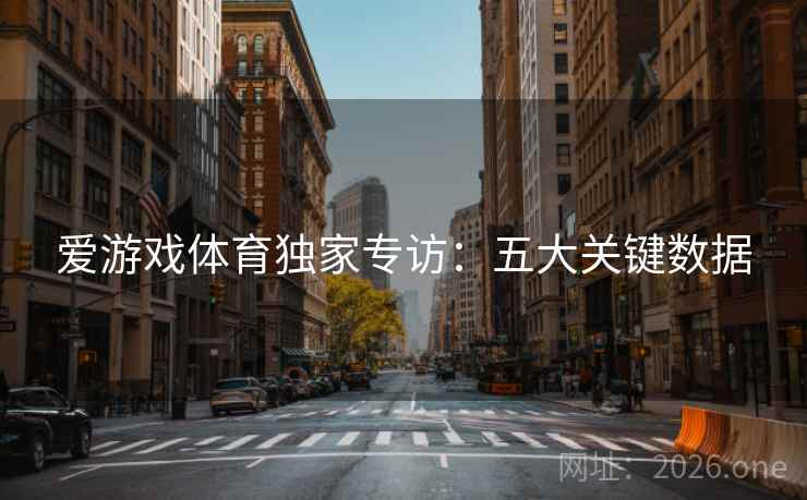 爱游戏体育独家专访:五大关键数据