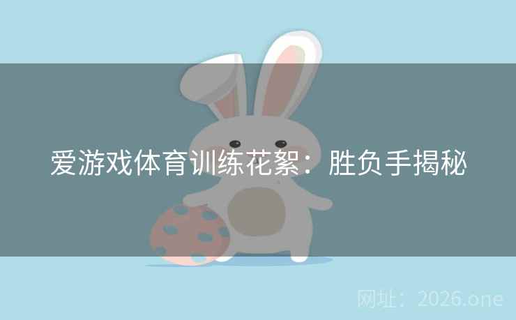 爱游戏体育训练花絮:胜负手揭秘
