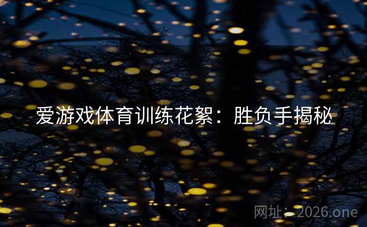 爱游戏体育训练花絮:胜负手揭秘