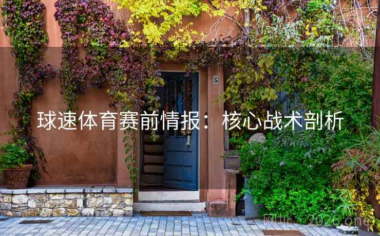 球速体育赛前情报:核心战术剖析