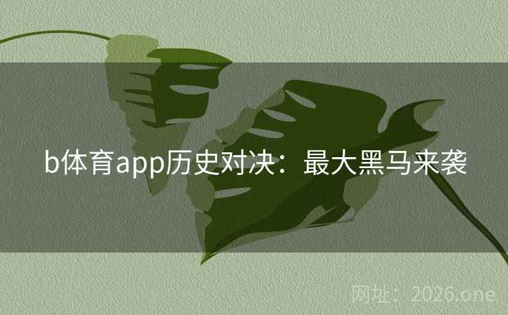 b体育app历史对决:最大黑马来袭