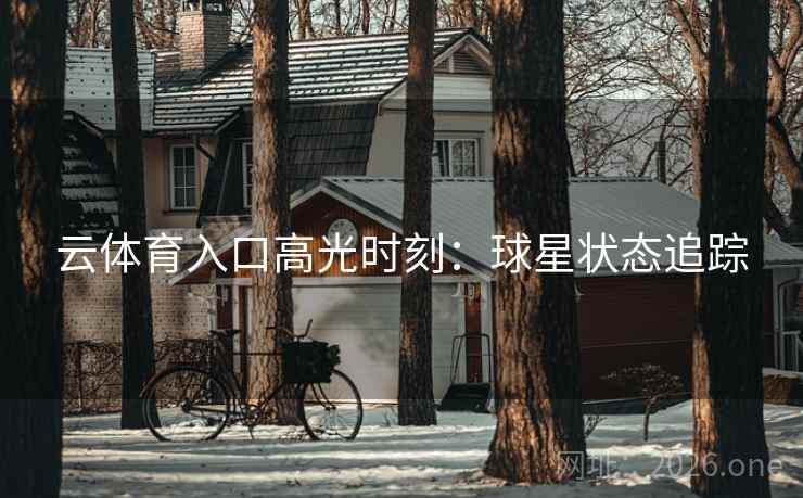 云体育入口高光时刻:球星状态追踪