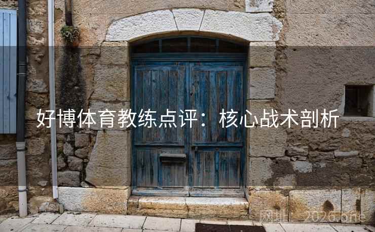 好博体育教练点评:核心战术剖析