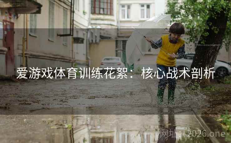 爱游戏体育训练花絮:核心战术剖析