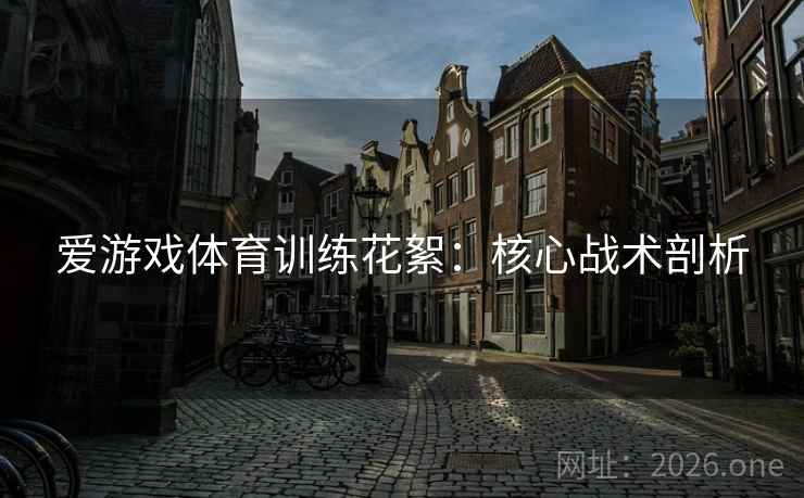 爱游戏体育训练花絮:核心战术剖析