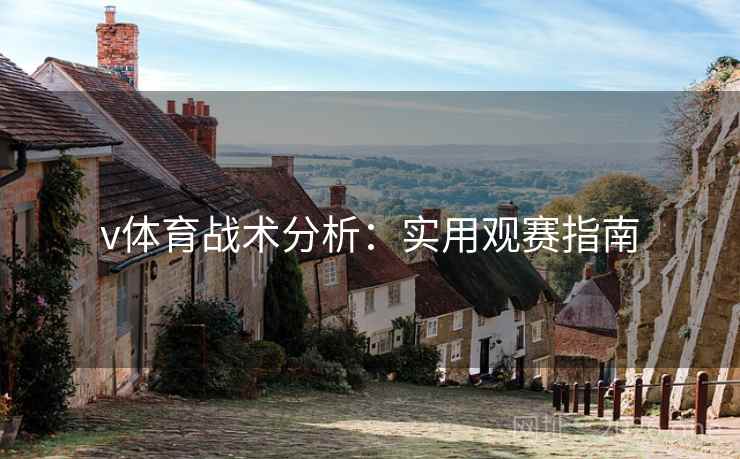 v体育战术分析:实用观赛指南