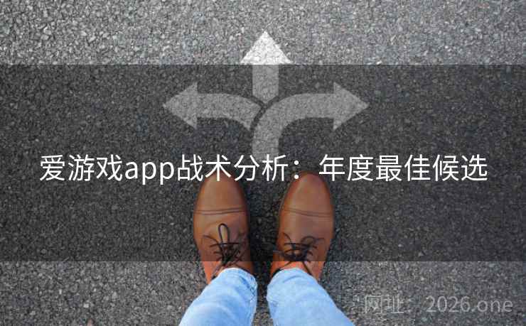 爱游戏app战术分析:年度最佳候选