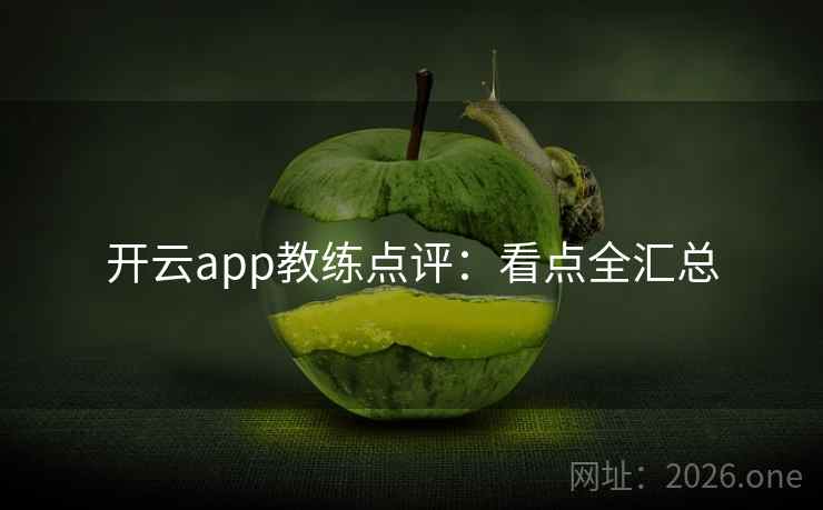开云app教练点评:看点全汇总