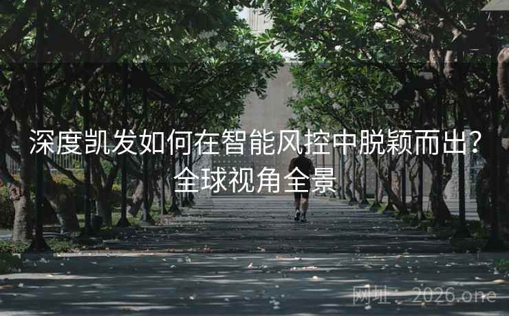 深度凯发如何在智能风控中脱颖而出?全球视角全景