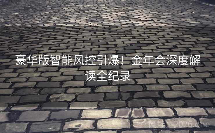 豪华版智能风控引爆！金年会深度解读全纪录