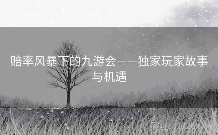 赔率风暴下的九游会——独家玩家故事与机遇