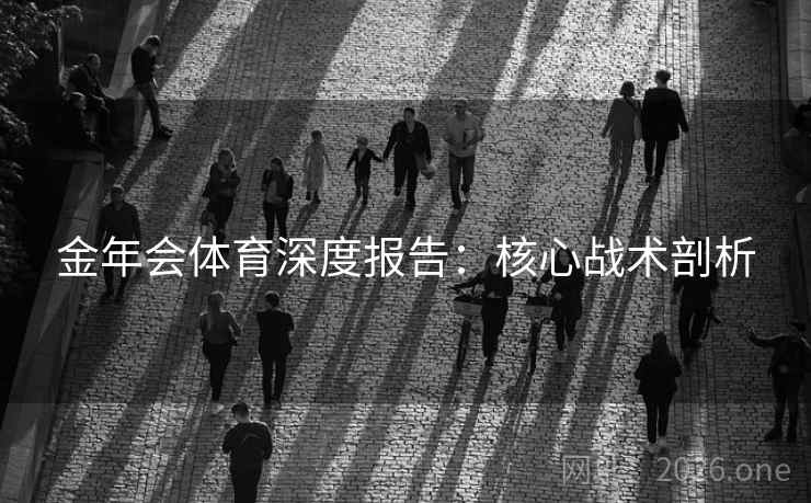 金年会体育深度报告：核心战术剖析