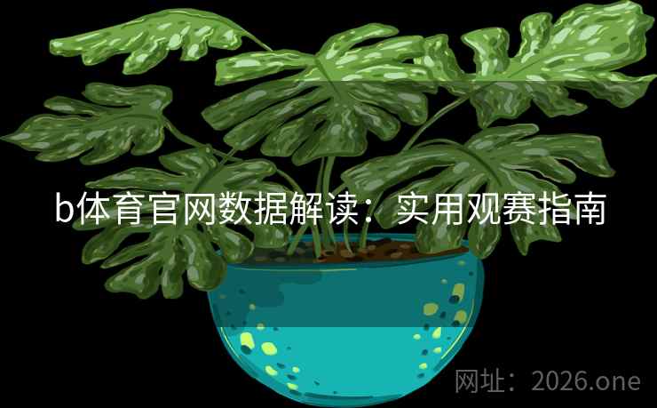 b体育官网数据解读：实用观赛指南